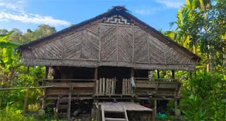 Warga Sipora Tolak Izin PT SPS di Hutan Adat