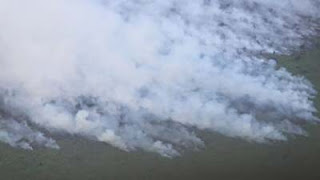 Kebakaran lahan di Kabupaten Rokan Hilir, Riau