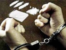 Anjing Pelacak Bantu Ungkap Persembunyian Sabu di Padang