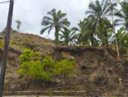 BPBD, Investigasi Pembakaran Lahan Masih Berlanjut