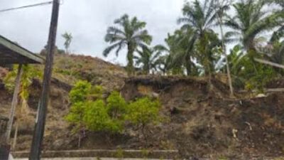 BPBD, Investigasi Pembakaran Lahan Masih Berlanjut