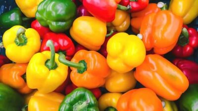 Sayuran Penurun Asam Urat, Tinggi Vitamin C, Rendah Purin!