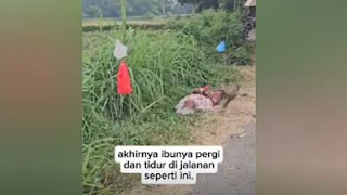 Viral seorang ibu yang sudah berusia lanjut diusir dari rumah oleh anaknya