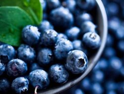 Rahasia Hidup Sehat dan Awet Muda Ada di Semangkuk Blueberry