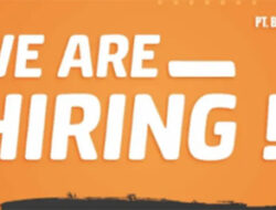 Lowongan Marketing PT Buana Lestari, Cocok untuk Fresh Graduate!