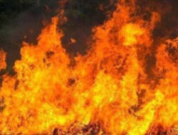 Api Sumur Minyak Ilegal di Blora Hanguskan Rumah dan Ternak