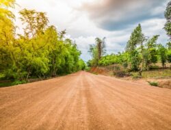 100 Ribu Hektare Lahan Terancam Diambil Alih, Begini Aturan Mainnya