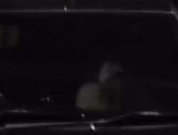 Komentar Pedas dan Sindiran Membludak di Media Sosial