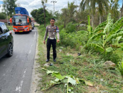 Tabrakan Sepeda Motor dan Mobil Pikap di Solok, Pengendara Motor Gugur