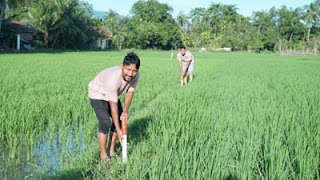 Gerakan Masyarakat Pemasangan Tanda Batas (GEMAPATAS) yang dicanangkan Kementerian ATR/BPN.