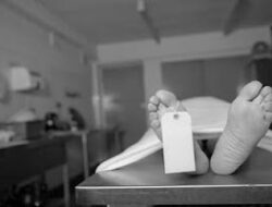 20 WNI Berburu di Timor Leste, Satu Tidak Kembali