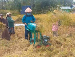 Solok Mulai Kurangi Pembakaran Jerami dengan Kompos