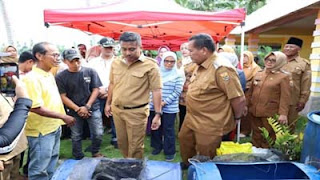 Wagub Sumbar Vasko Ruseimy menyerahkan indukan lele unggul kepada kelompok budidaya ikan di Pariaman.