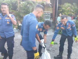 Evakuasi Ular Piton di Padang Berjalan Cepat dan Aman