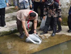 20 Ribu Benih Ikan Ditebar untuk Jaga Ekosistem Perairan
