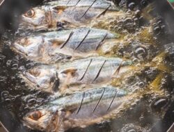 Selain Kaya Omega-3, Ikan-Ikan Ini Ternyata Mengandung Vitamin D Tinggi