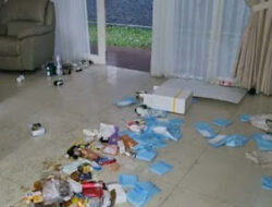 Massa Geruduk Rumah Nafa Urbach, Perabot hingga TV Hilang Dibawa