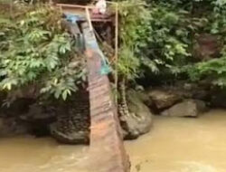 Akses Terputus, Warga Cubadak Barat Terpaksa Seberangi Sungai