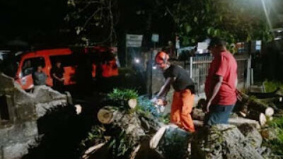 Pohon Tumbang Timpa Rumah Warga di Padang