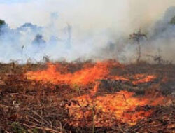 Lima Imbauan Polres Solok untuk Antisipasi Karhutla