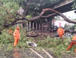 Hujan Sore, Jalan Tertutup Pohon Tumbang