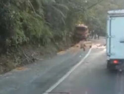 Truk Pengangkut CPO Hilang Kendali di Turunan Curam Padang