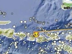 Sumbawa dan Sumbawa Barat Rasakan Getaran Gempa