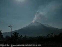 Gunung Lewotobi Laki-Laki Kembali Muntahkan Abu Vulkanik