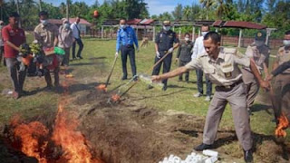 Petugas Balai Karantina Hewan Ikan dan Tumbuhan Sumbar memusnahkan sejumlah komoditas ilegal.
