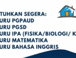 Lowongan Guru Besar-Besaran! Hai School Indonesia Butuh Guru IPA, Matematika, dan PGSD