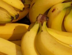 Ahli Gizi, Waktu Makan Pisang Tak Banyak Pengaruhi Penyerapan Kalium