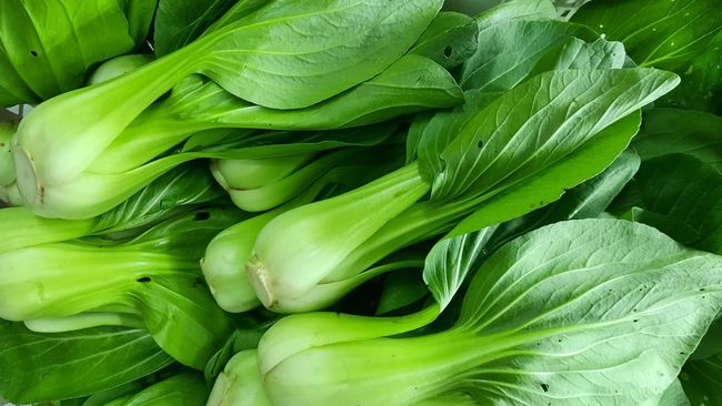 Pakcoy jadi salah satu sayuran yang tinggi kalsium.