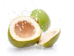 Mitos Gagal Ginjal Akibat Air Kelapa Dibantah Ahli Gizi