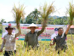 Gotong Royong Wujudkan Panen Raya Sawah Pokok Murah
