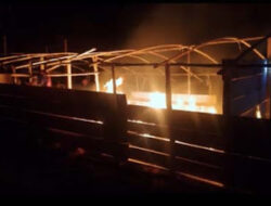 Polisi Amankan Lokasi Bekas Tambang Emas Ilegal di Payung Sekaki