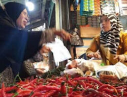 Kemarau Panjang dan Hujan Telat Picu Lonjakan Harga Cabai