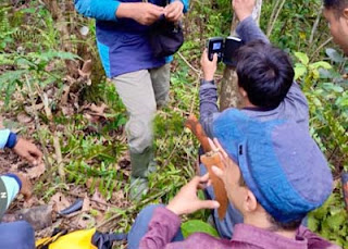 Warga Dihimbau Batasi Aktivitas di Ladang Pasca Serangan Harimau