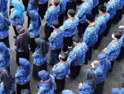 Honorer Gagal Seleksi CASN Bisa Jadi PPPK Paruh Waktu