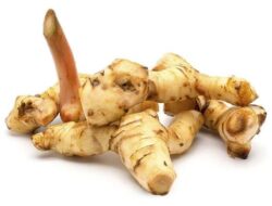 Lengkuas Ternyata Ampuh Lawan Infeksi dan Peradangan, Ini Penjelasannya