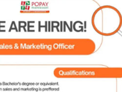 Karier di Dunia Pendidikan! PT Montessori Education Buka Lowongan Sales & Marketing Officer