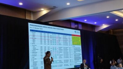 Mendag ungkap kondisi geografis dan sulitnya jalur distribusi menjadi faktor penyebab harga beras tinggi di wilayah timur.