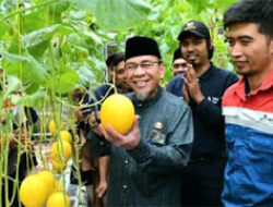 Pemko Padang Dukung Petani Muda Hidroponik Tingkatkan Produksi