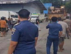 Truk Ternak Hindari Pemeriksaan, Situasi Pelabuhan Memanas
