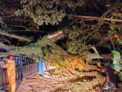Angin Kencang Terjang Padang, Dua Pohon Timpa Jalan dan Pagar Kantor Partai