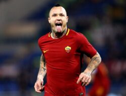 Dicoret dari Skuad Belgia, Radja Nainggolan, Seandainya Bisa, Saya Pilih Indonesia