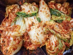 Kimchi Masuk Daftar Superfood? Ini Temuan Mengejutkan dari Peneliti AS