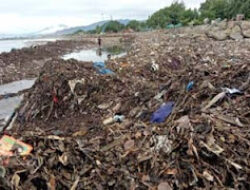 Tujuh Kawasan Metropolitan Jadi Prioritas Pengolahan Sampah Jadi Energi