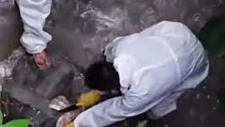 Tim terpadu di Gunungsitoli mengambil sampel dari bangkai.