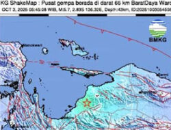 Getaran Gempa Papua Dirasakan Kuat di Nabire dan Enarotali