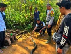 Tragedi di Cidadap, Petani Tewas Saat Cari Pertolongan